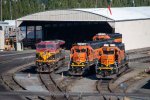 Group of locomotives in tacoma yard